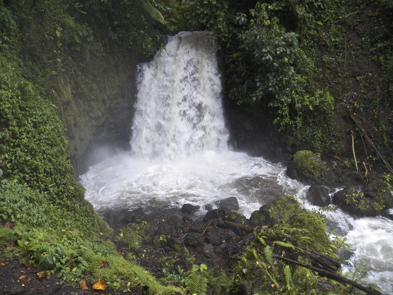 Waterval in het regenwoud.