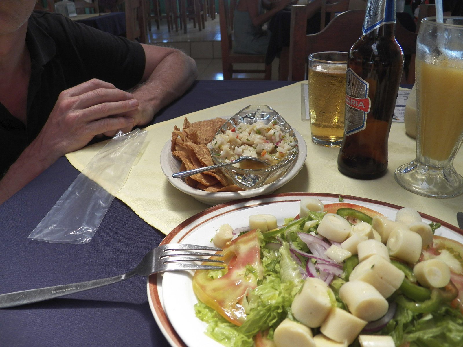 Ceviche schotel en slaatje.