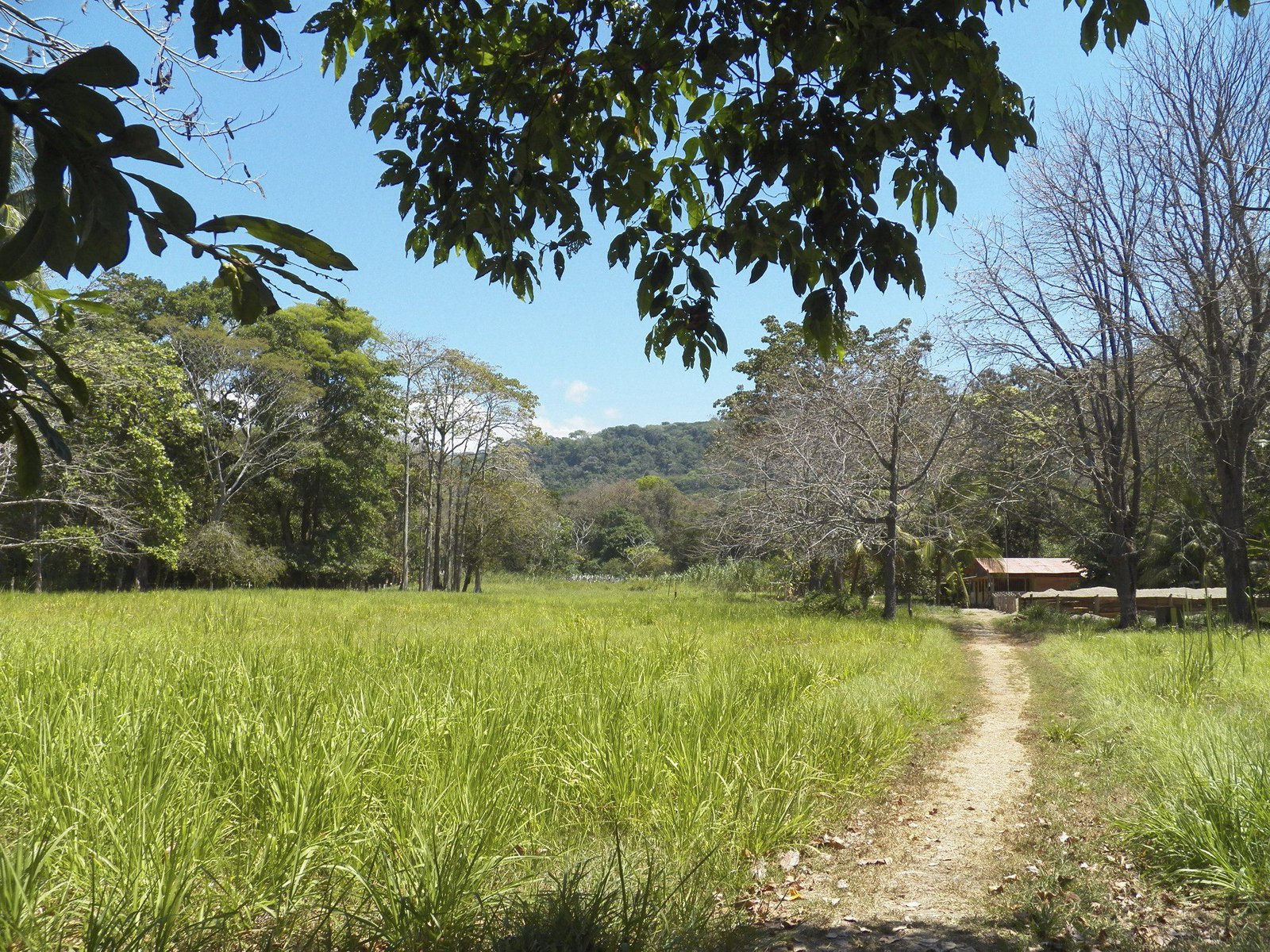 Graslandschap in Vida Sylvestre Barù.