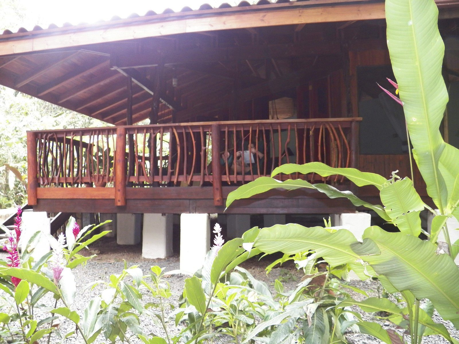 Bruin houten chalet in oerwoud.