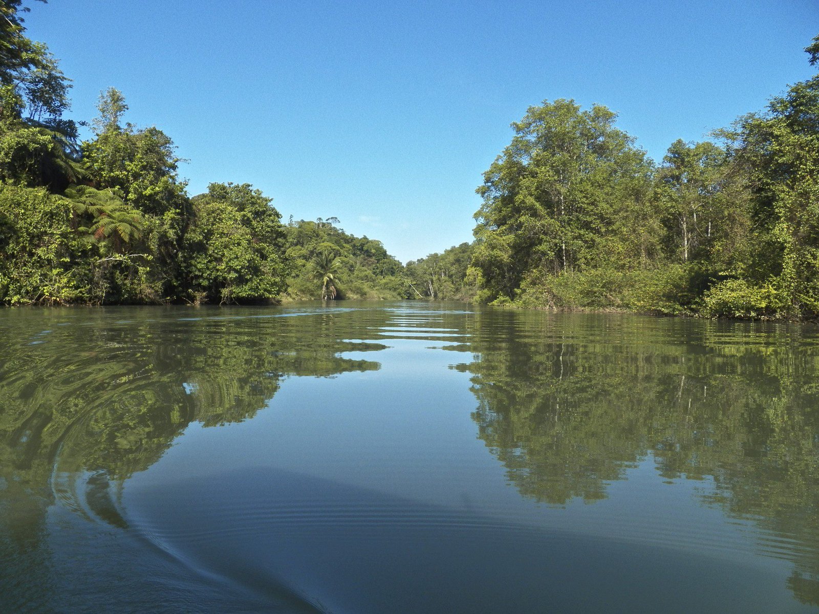 Diep-blauwe rivier met overvloedig groen langs beide kanten.