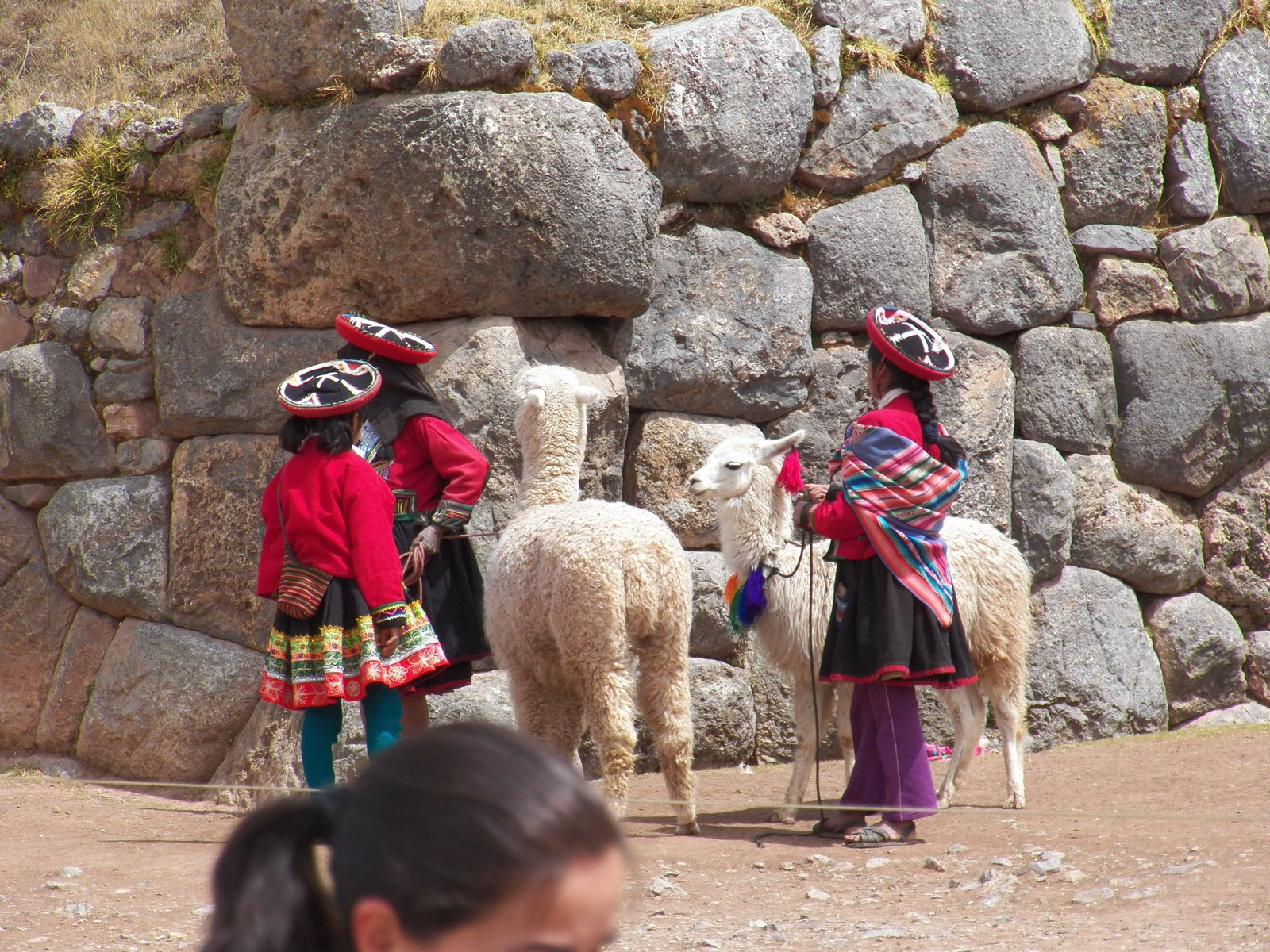 Dames in traditionele klederdracht met alpaca's.
