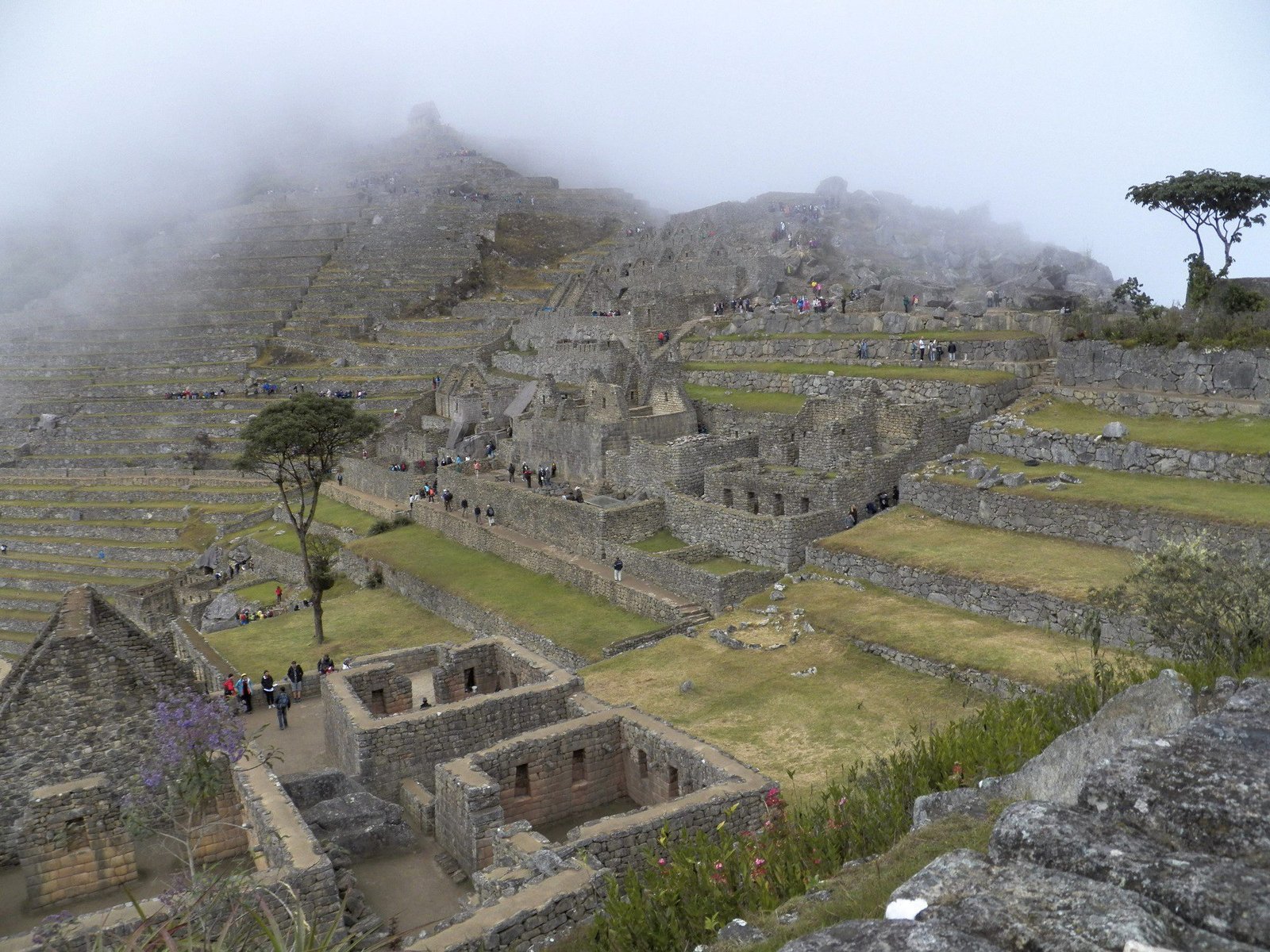 Panorama van Machu Picchu in de mist: vele muren en gebouwen.
