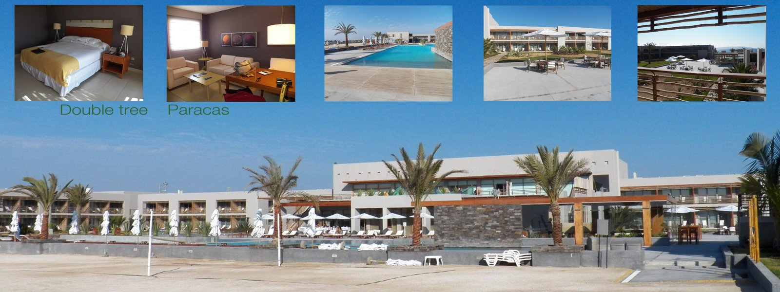 Double Tree Hilton hotel: wit met palmbomen er voor.