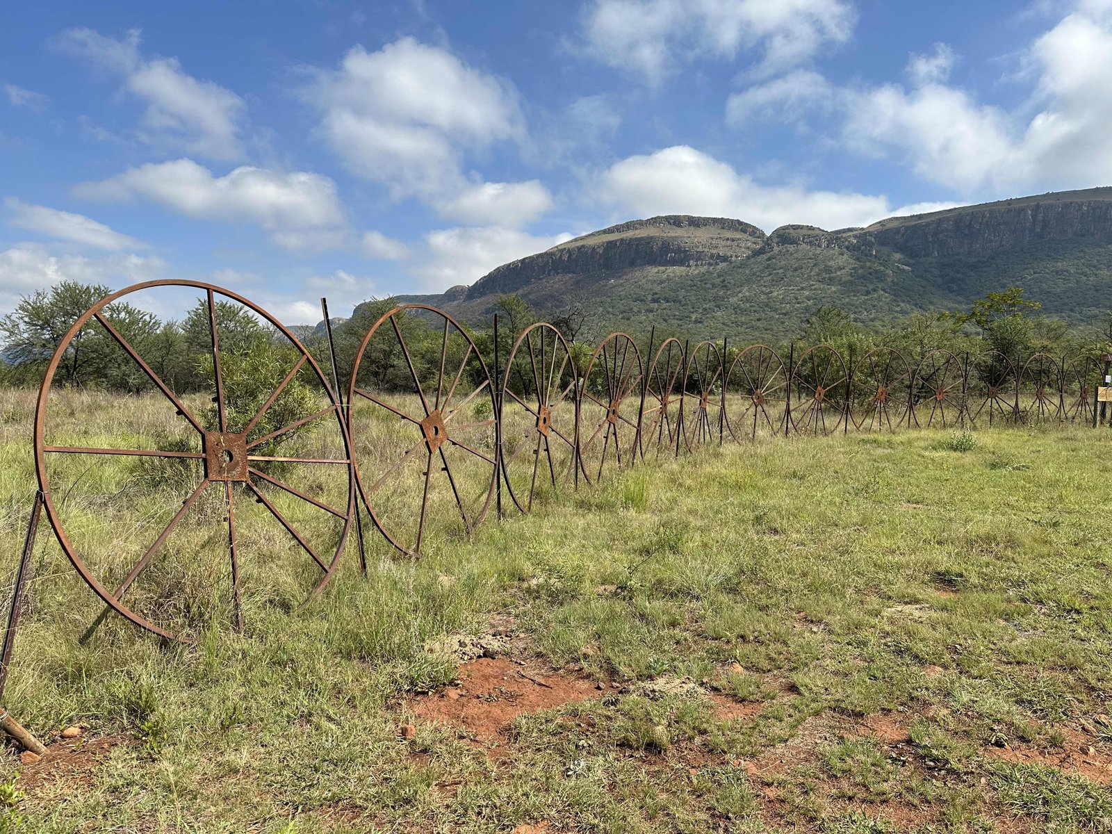 Vergenoeg, Magaliesberg: roestige ijzeren wielen op een rij in Afrikaans berglandschap.