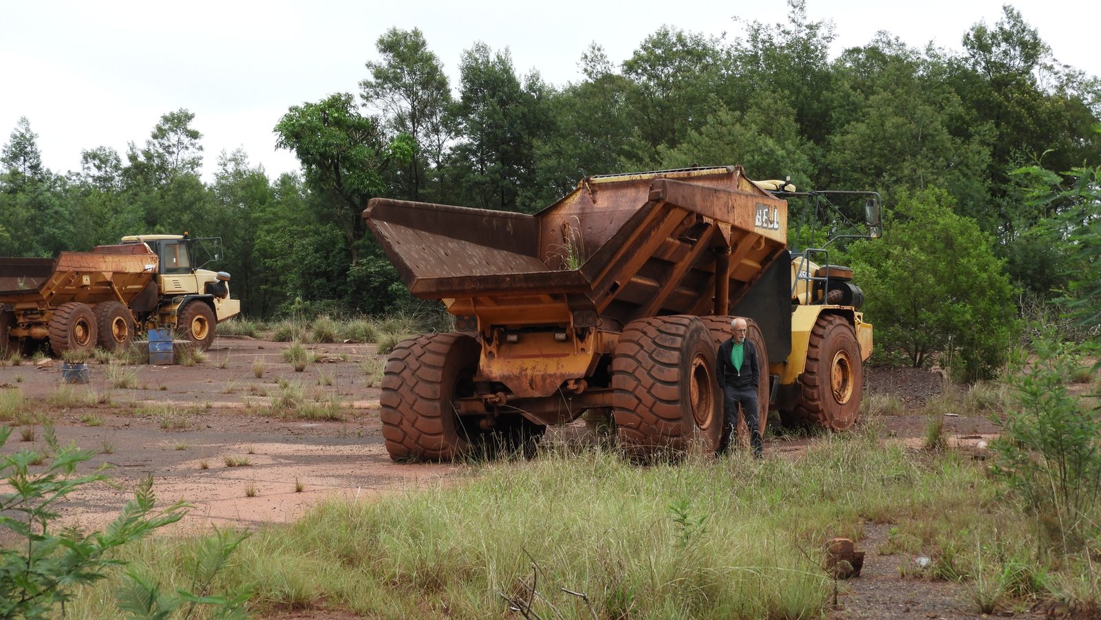 Reusachtige en roestige verlaten trucks in het bos.