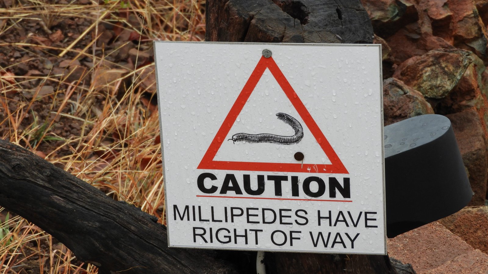 Verkeersbord: millipedes hebben voorrang.