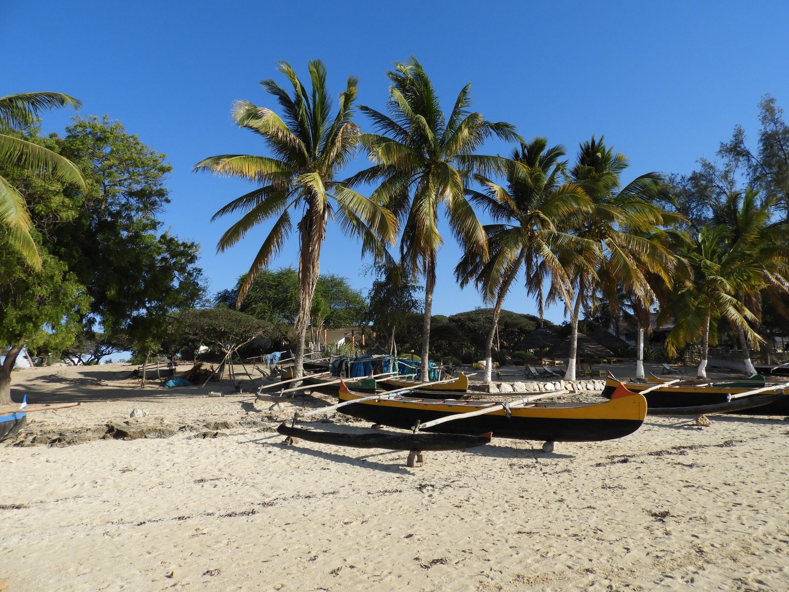 Strand met palmbomen geel-zwarte piroques