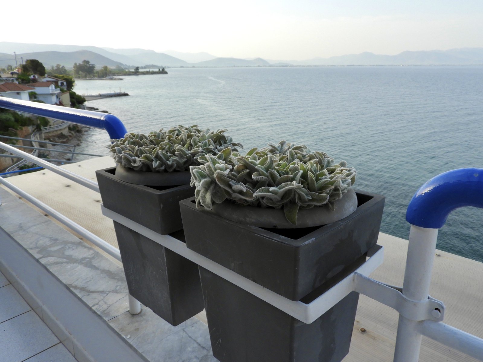 Twee bloembakken met vetplanten op een terras voor de wijde, blauwe baai.