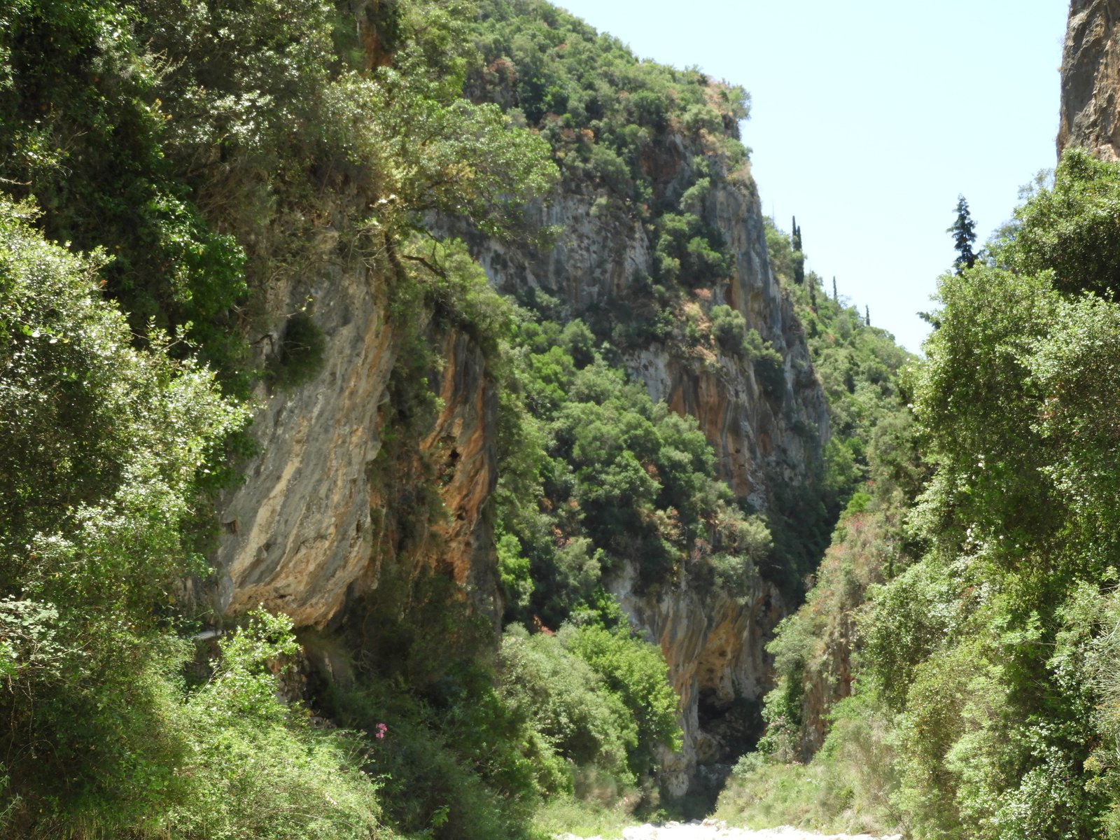 Smalle kloof met rood-bruine rotsen links en veel groen.