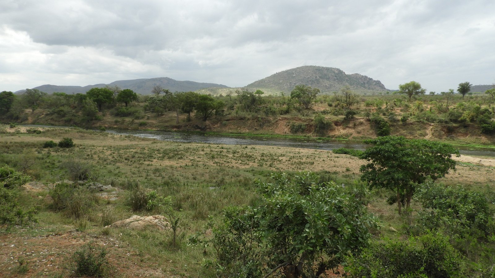 Krokodilrivier met heuvels op achtergrond.