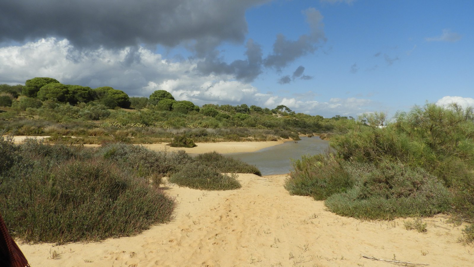 Zand, duinbegroeiing en vijvertje.
