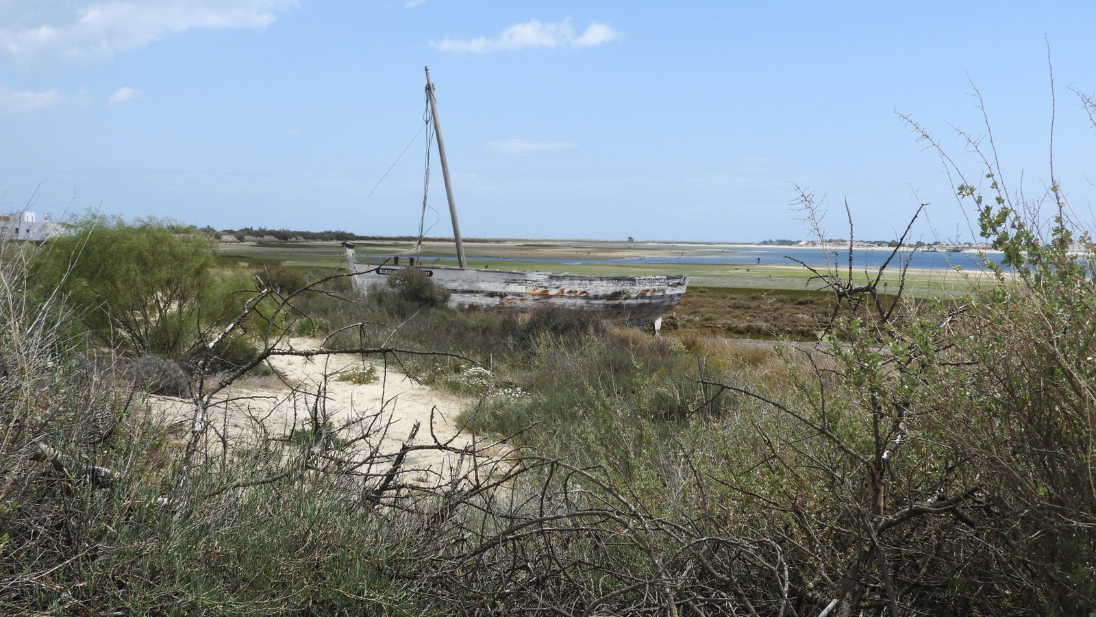 Verelaten, oude zeilboot op strand achter begroeiing.