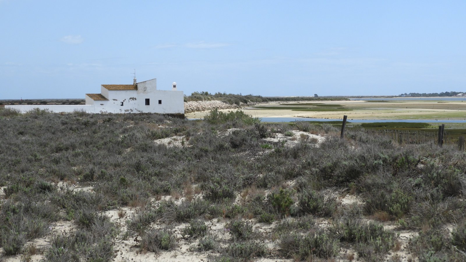 Strand met zand, begroeiing en wit huis.