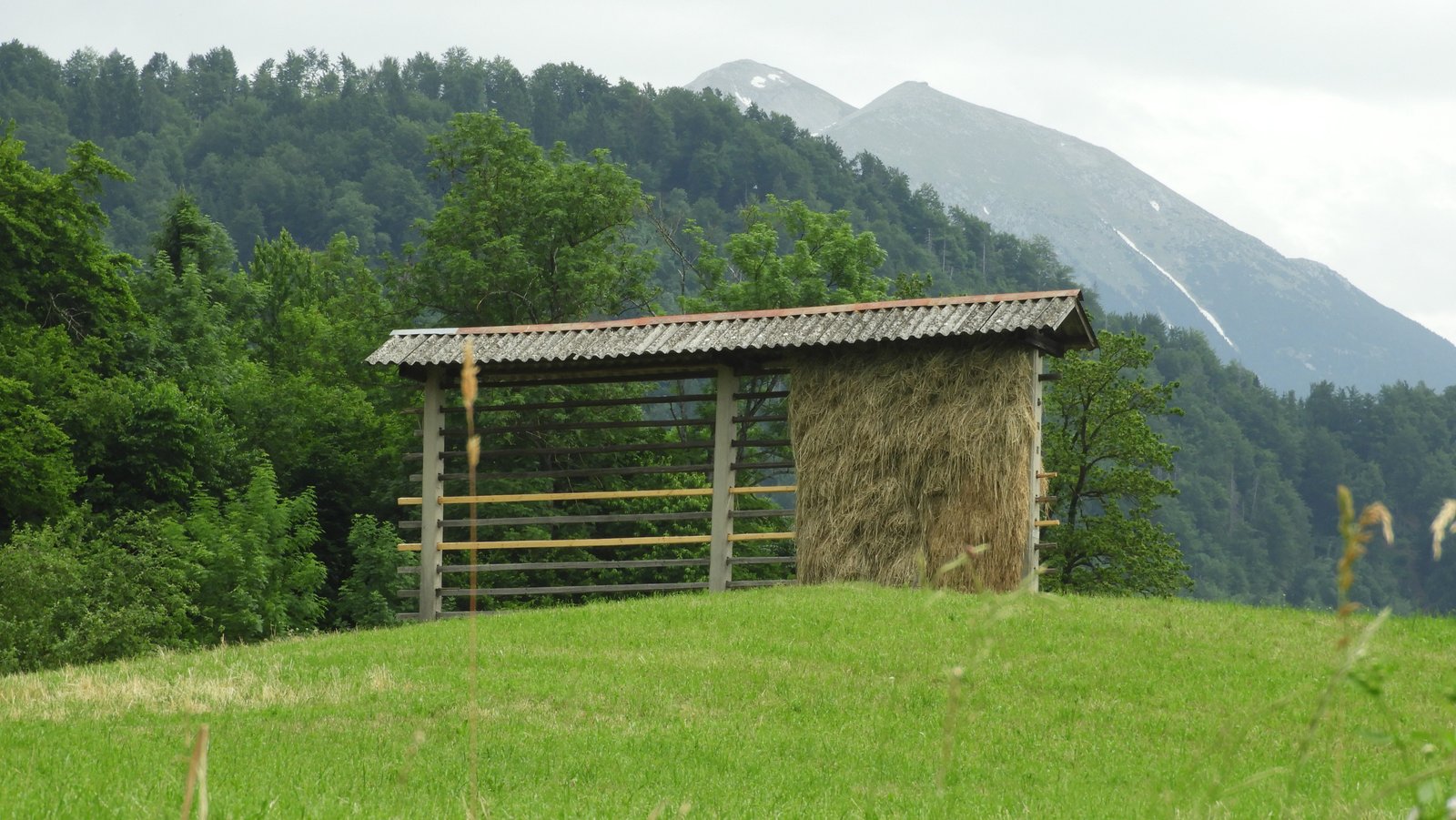 Kozolec: hooirek in berglandschap.