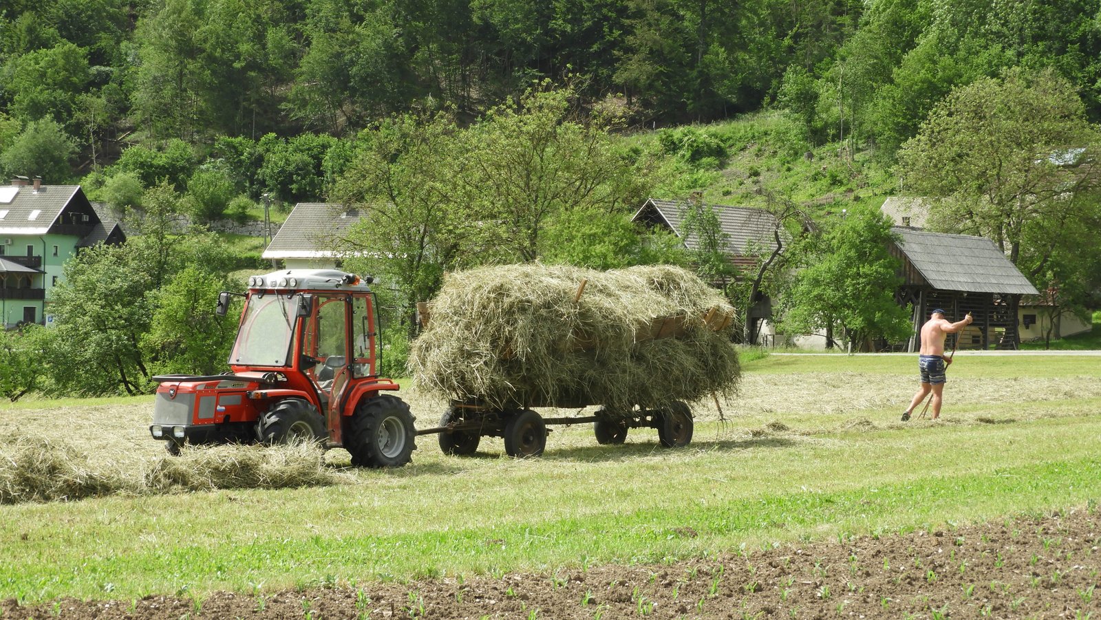 Rode tractor met hooiwagen op een hooi grasland.