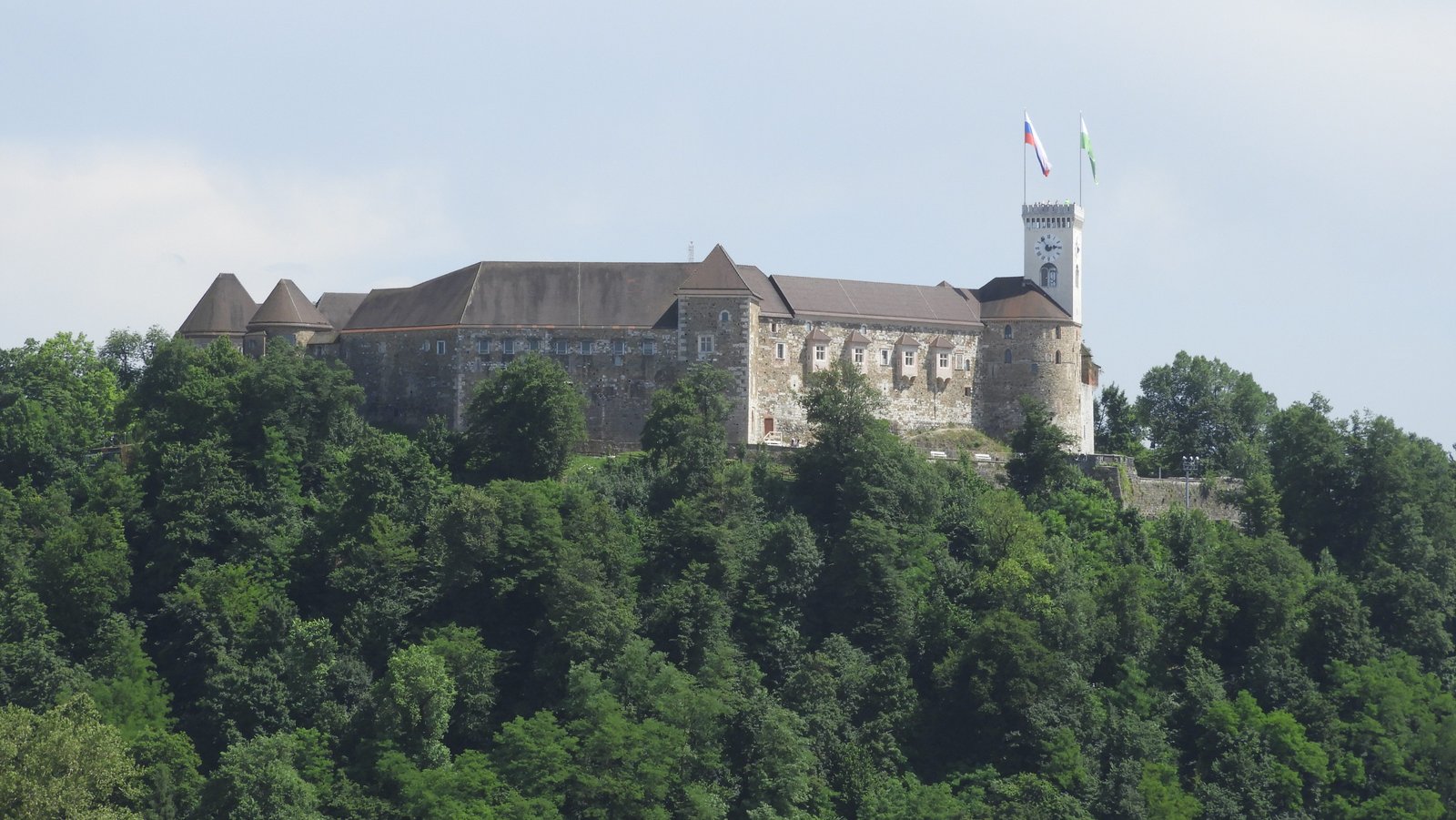 Groen beboste heuvel met kasteel van Ljubljana.
