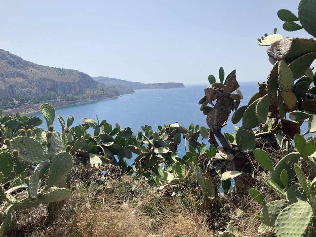 Cactussen op de voorgrond, zee en bergen op achtergrond.