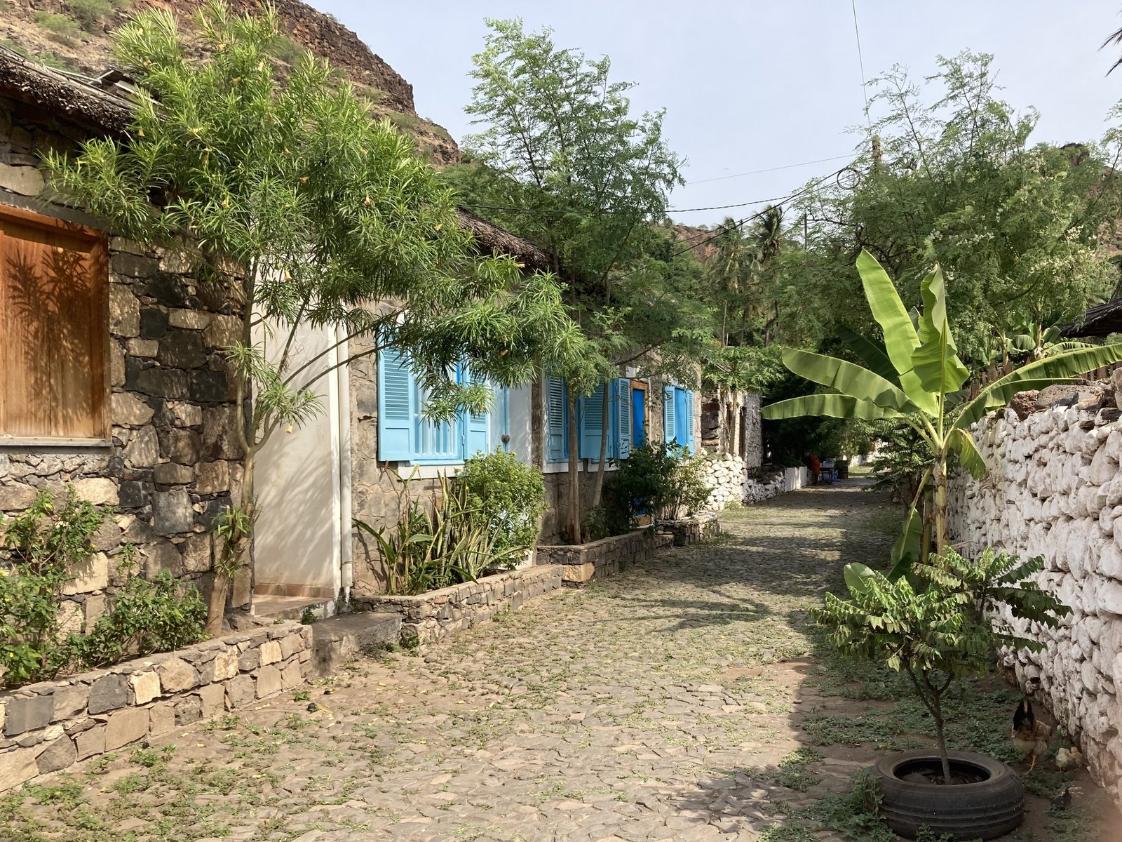 Huis met lichtblauwe luiken en tussen weelderige, tropische begroeiing.