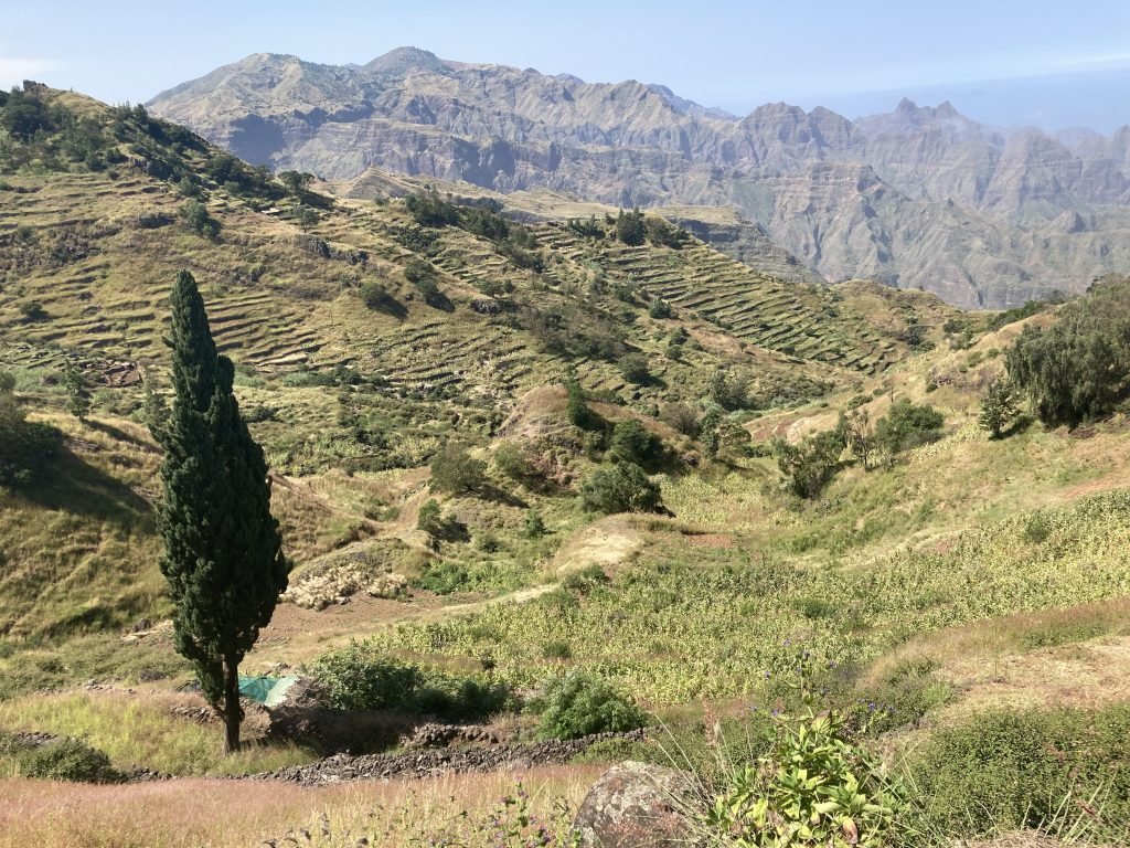 Cova krater vanaf Agua das Caldeiras gezien: groen, bebouwde terrassen.