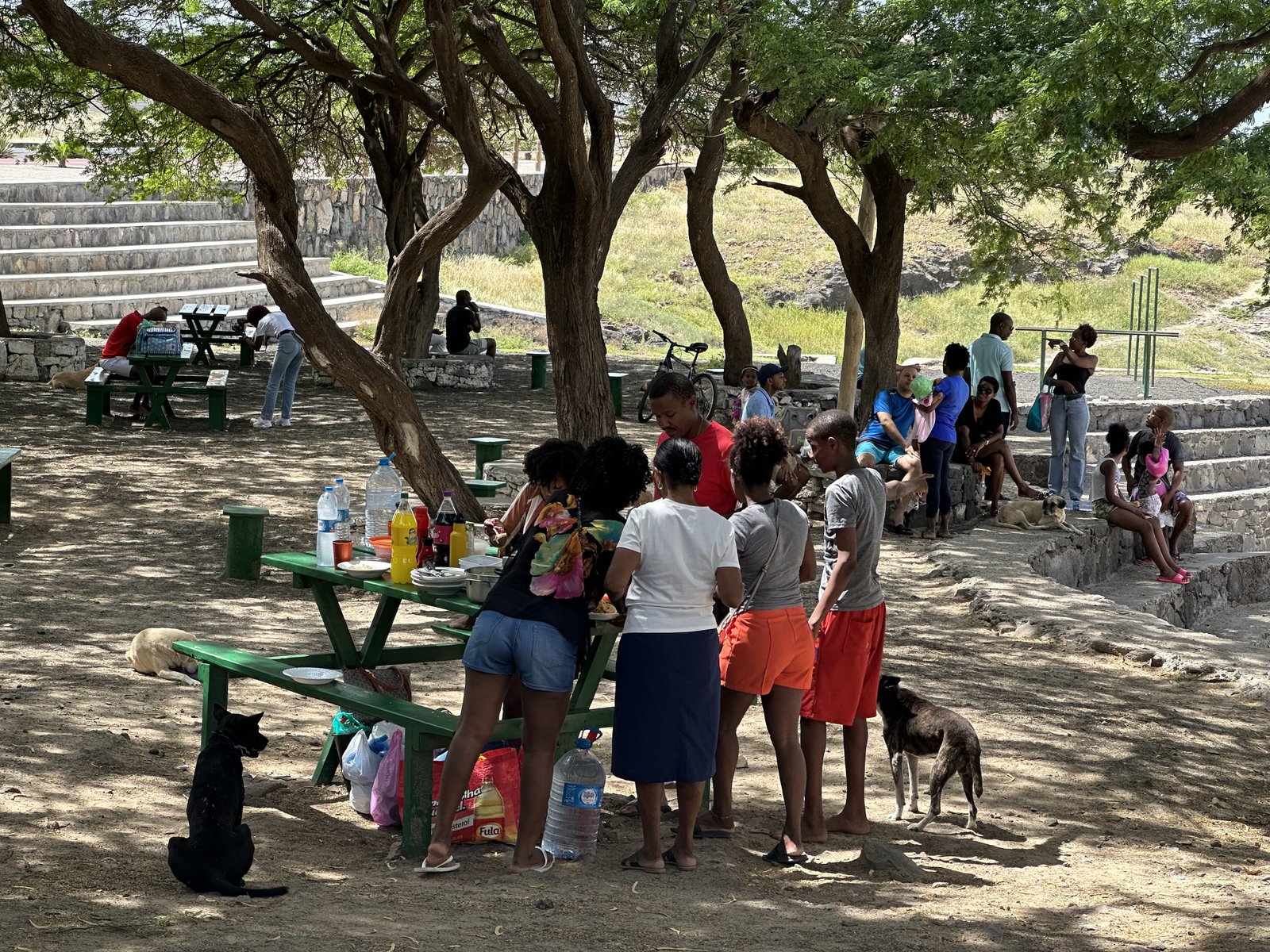 Cabo Verdianen picknicken onder bomen.