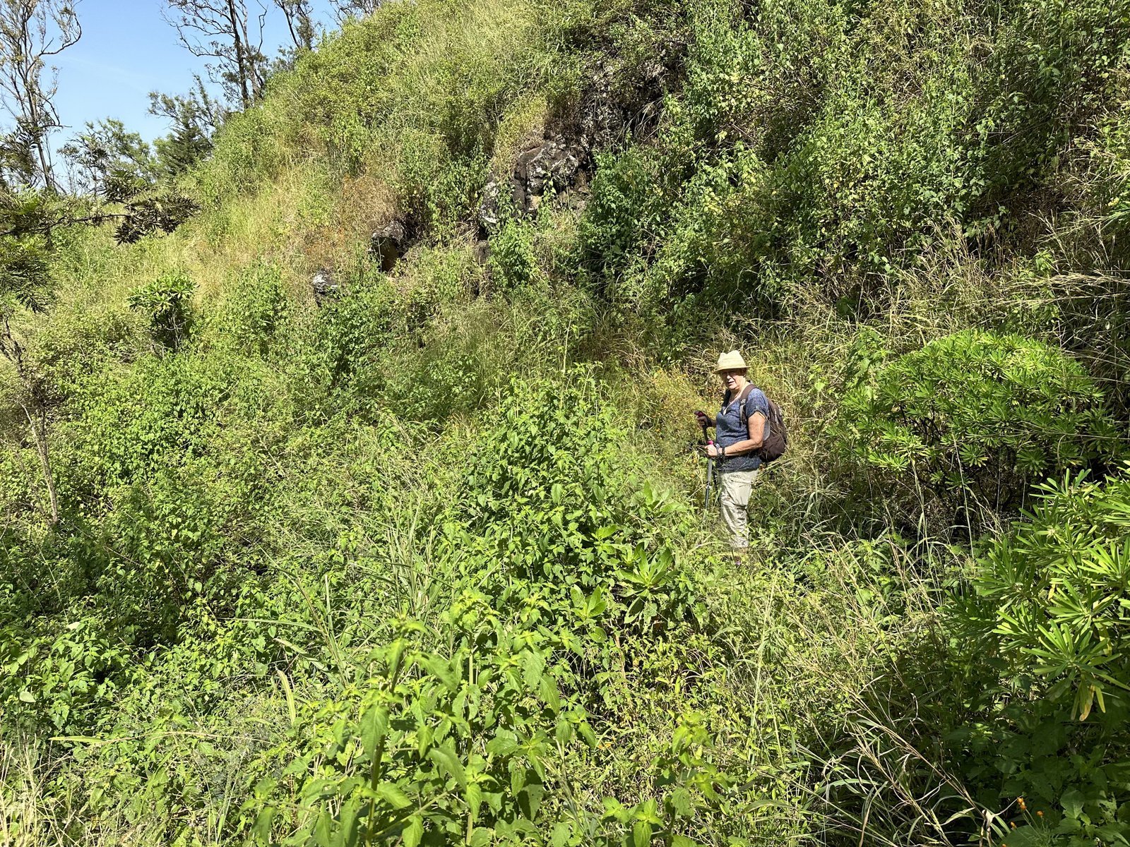 Toeriste met wandelstokken op groene berghelling.