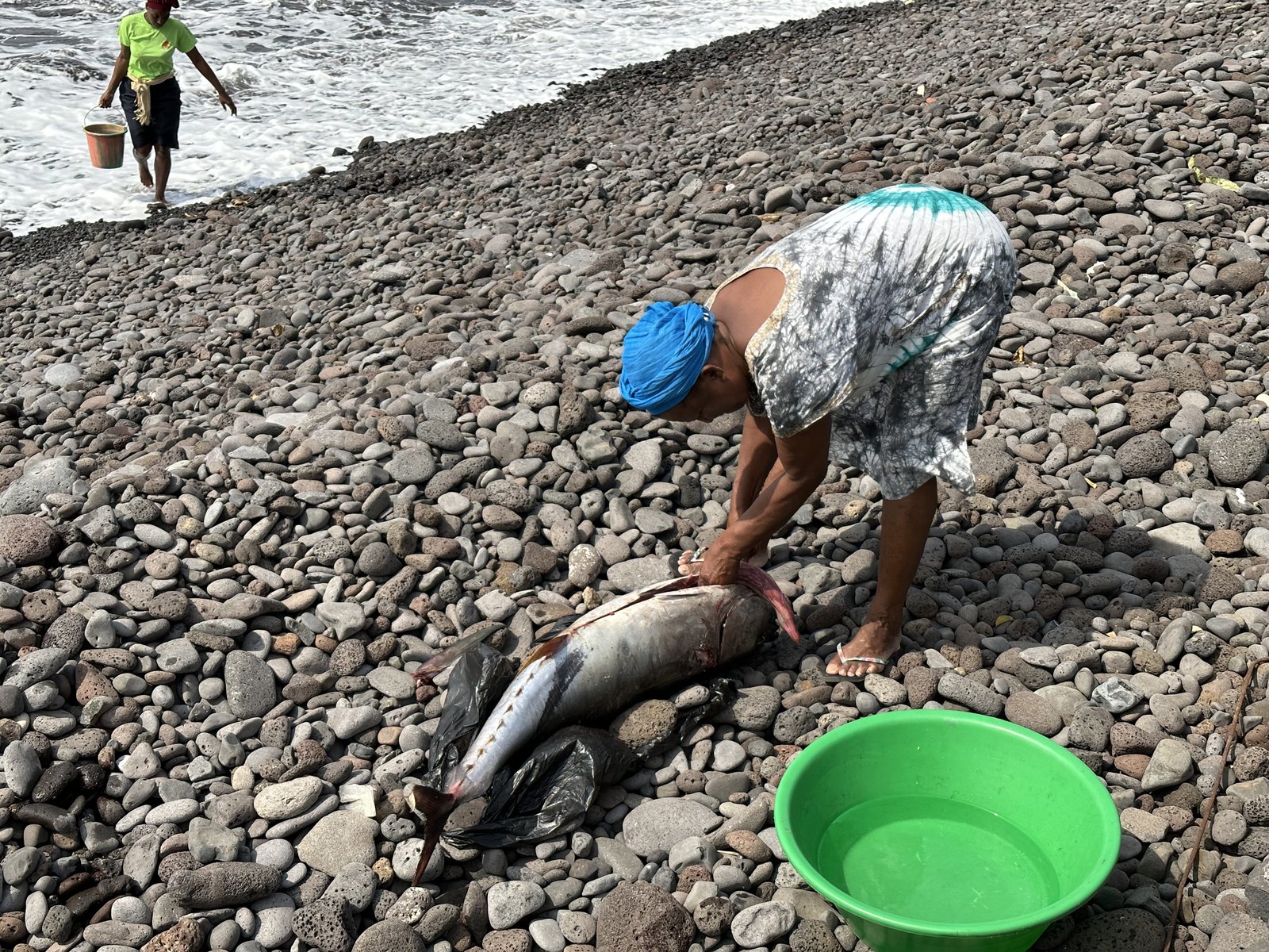 Vrouw snijdt grote vis open op een keienstrand naast een groene plastic kom.