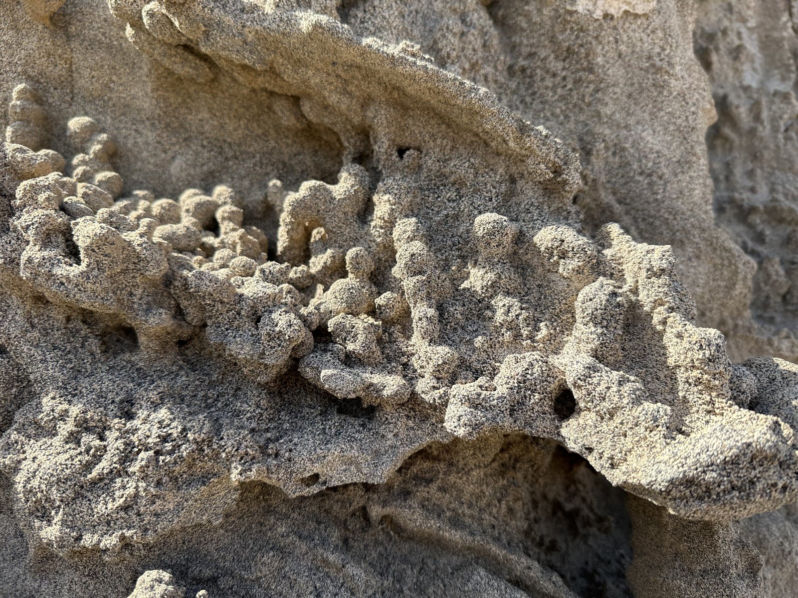 Eigenaardige natuurlijke zandsculpturen.