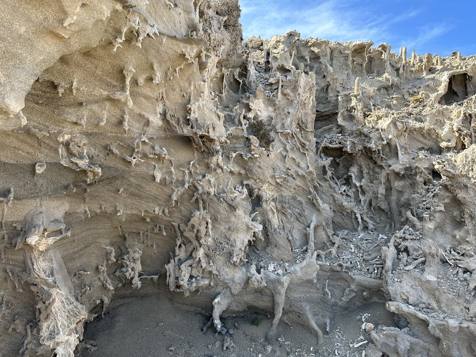 Eigenaardige natuurlijke zandsculpturen.