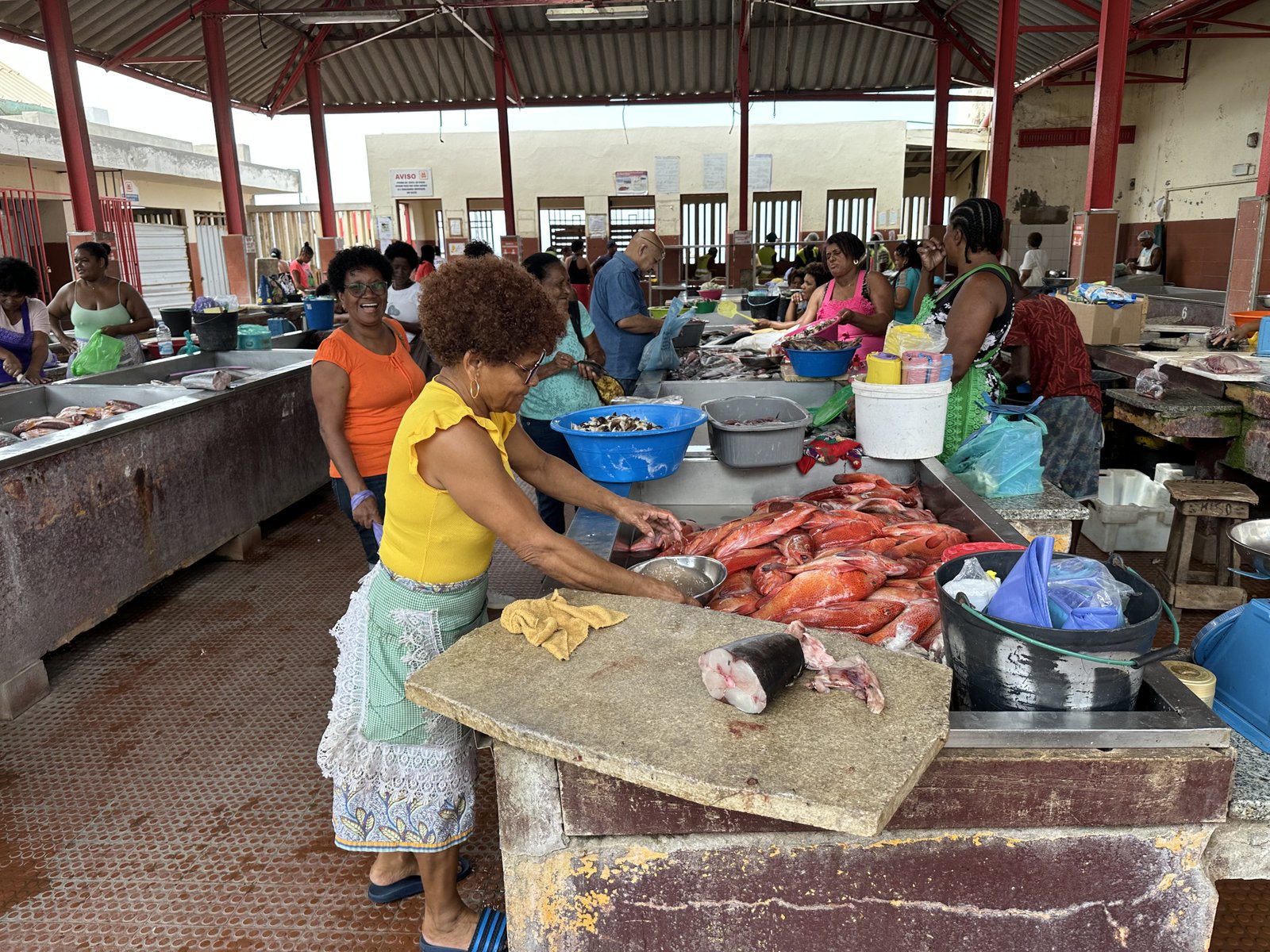Vismarkt met vrouwen in kleurrijke T-shirts en exotische vissen.