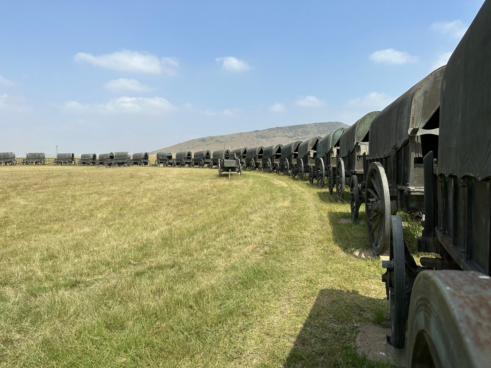 Grasveld links, zwarte, bronzen huifkarren rechts.