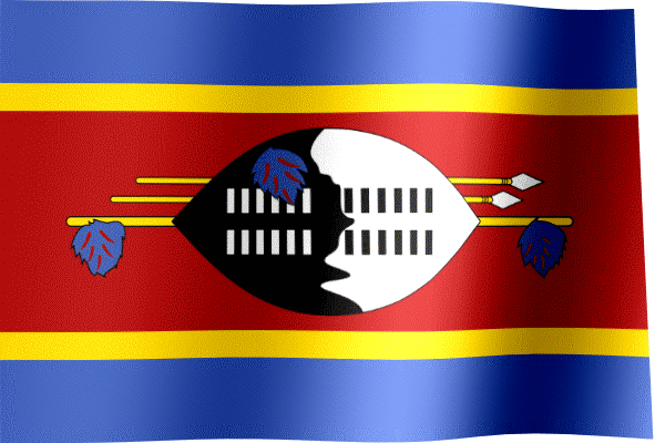 eSwatinit waving flag