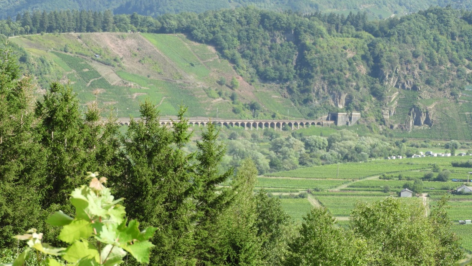 Lange spoorwegbrug met bogen in groene vallei.