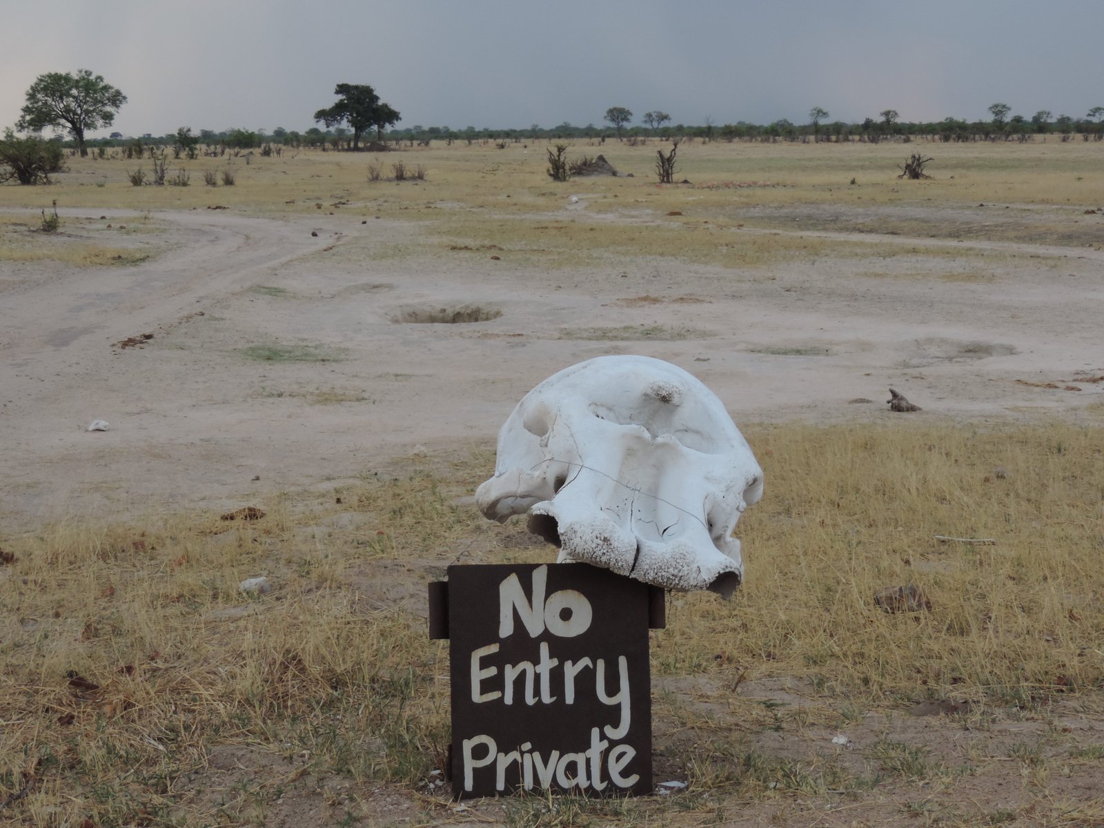 Zwart bord met “No Entry” in witte letters en olifantenschedel.