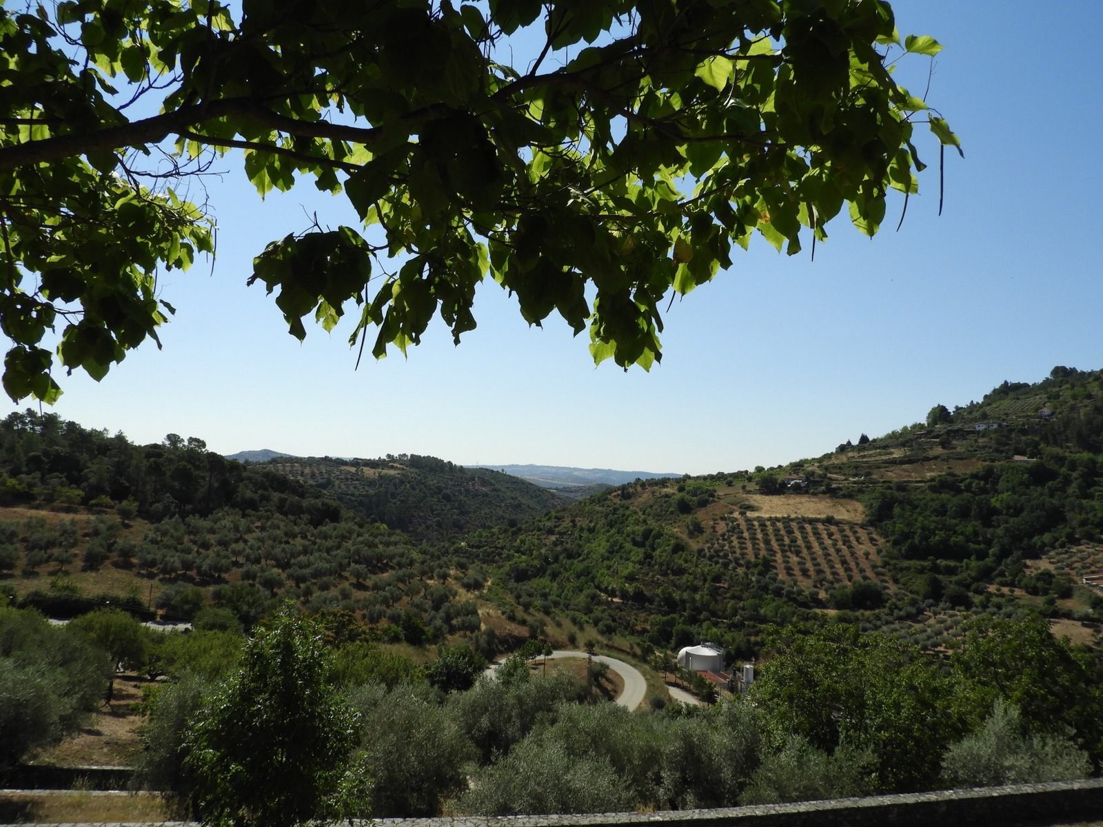 Panorama over de groene heuvels rond Bragança. 