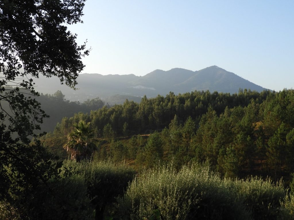 Panorama met begroeide bergen in Quinta dos Moinhos.