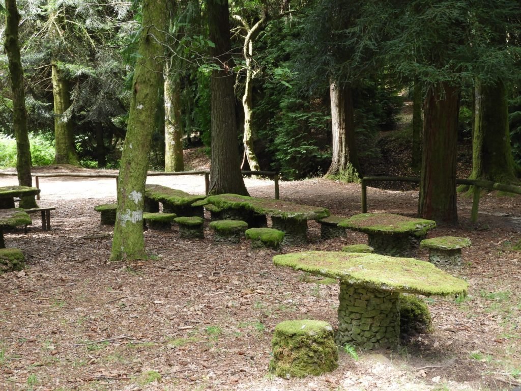 Met most overgroeide tafeltjes en stoelen in het bos.