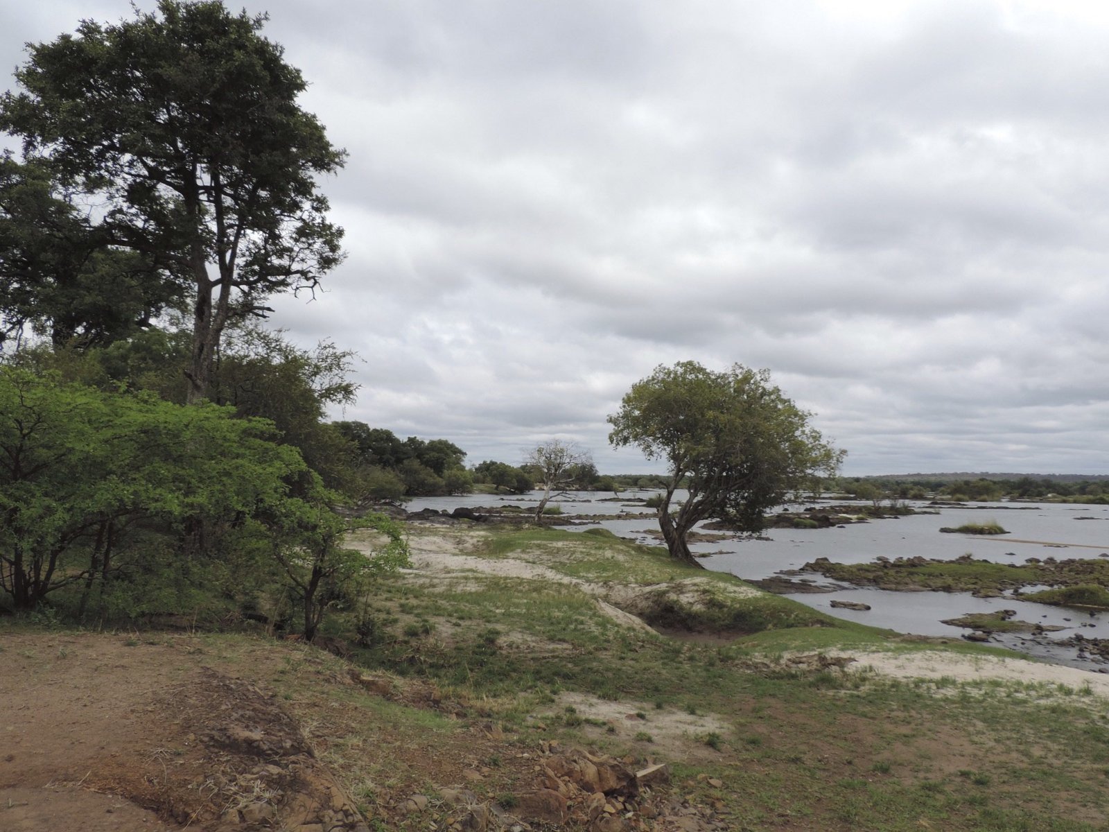 Oever van de Zambezi met bomen en waterpoelen.