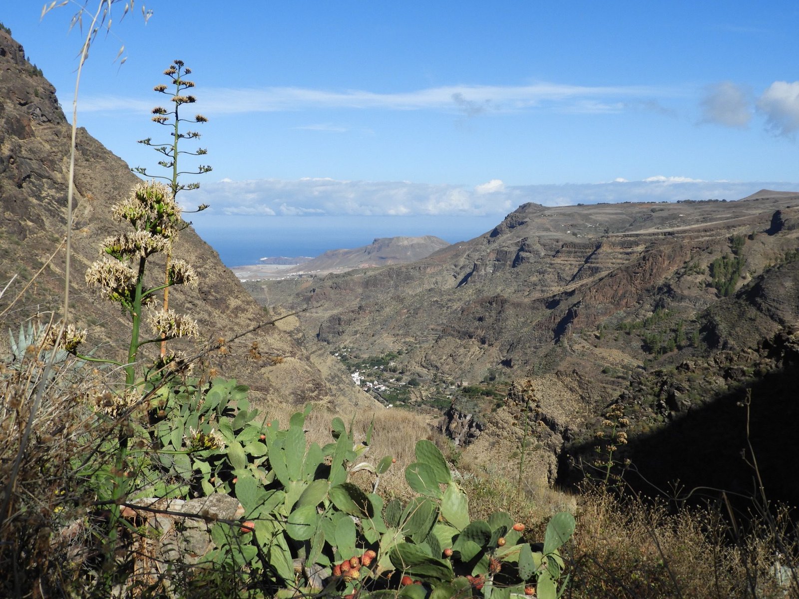 Panorama over de bergen rond Agaete.