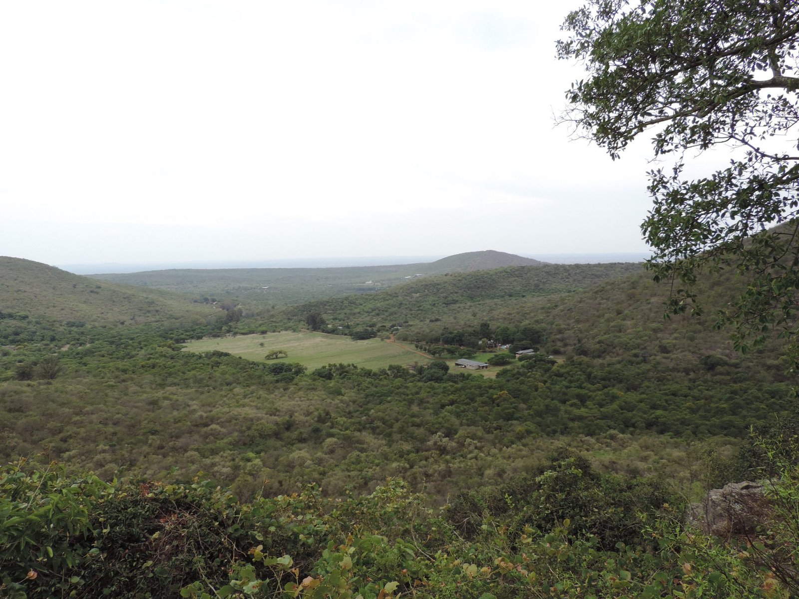 Panorama met groene heuvels. 