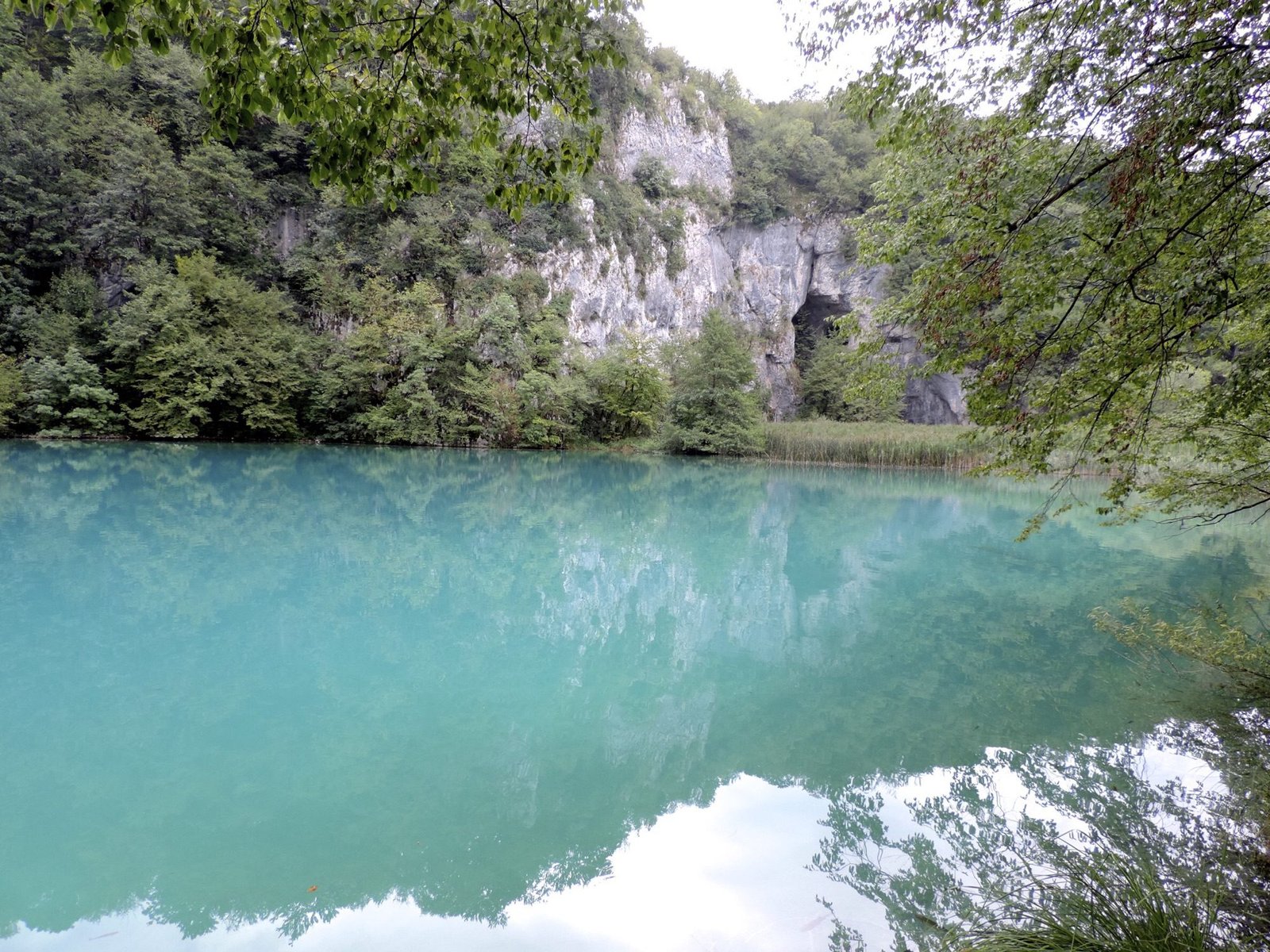 Turquoise meertje.