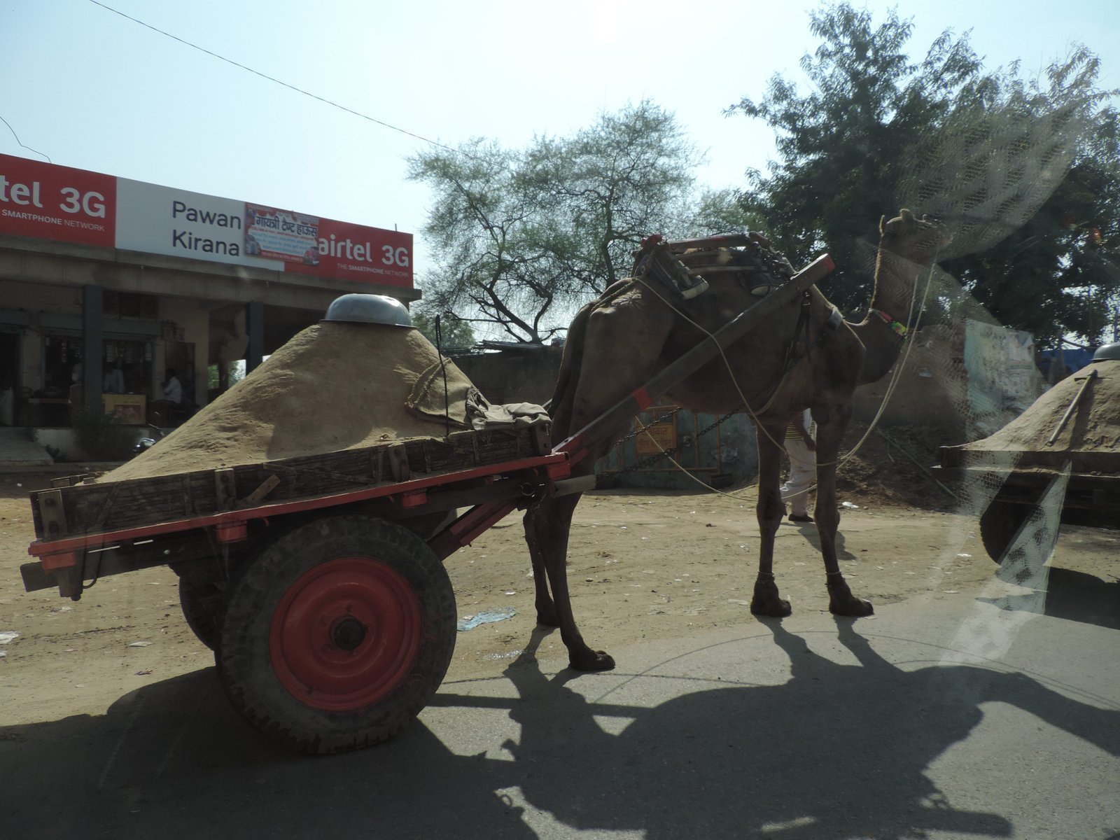 Kar getrokken door kameel op weg naar Jaipur.