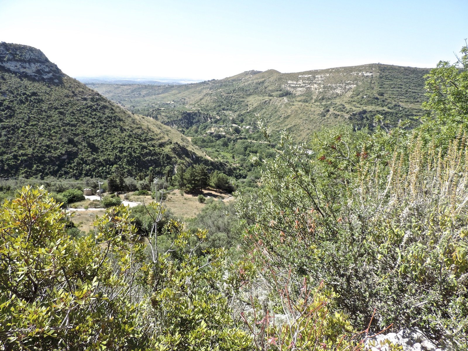 Berglandschap met kloof en dichte begroeiing.