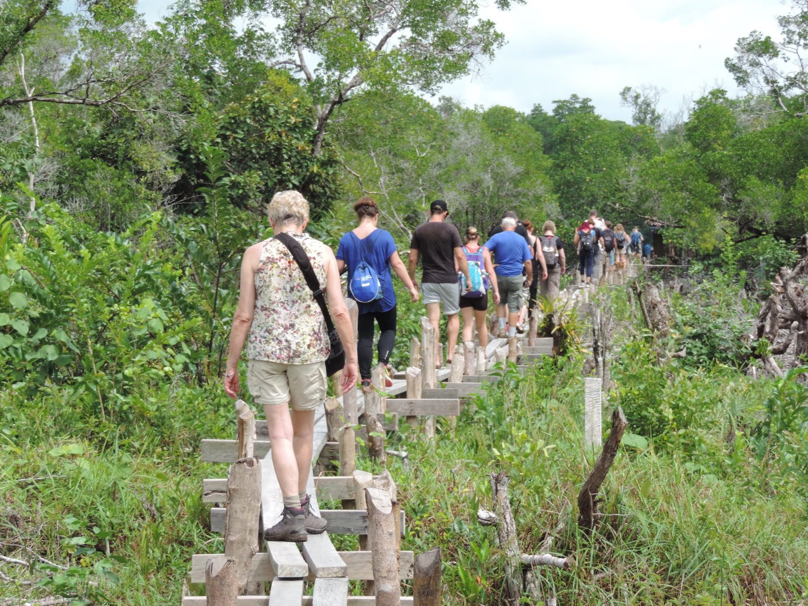 Reeks mensen in file indienne op vlonderpad in de jungle.