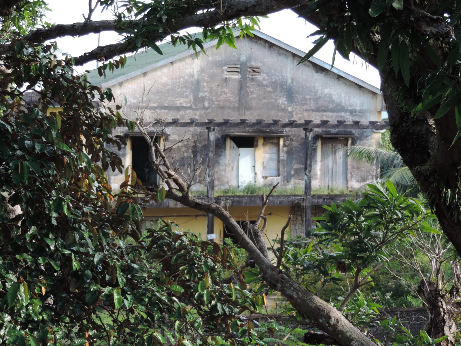 Zwart geblakerde villa in het groen.