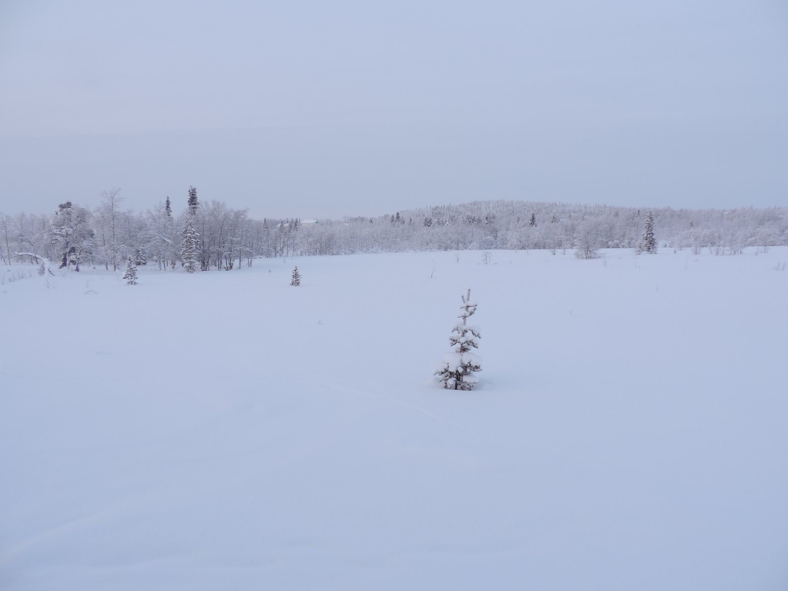 Verstild sneeuwlandschap.