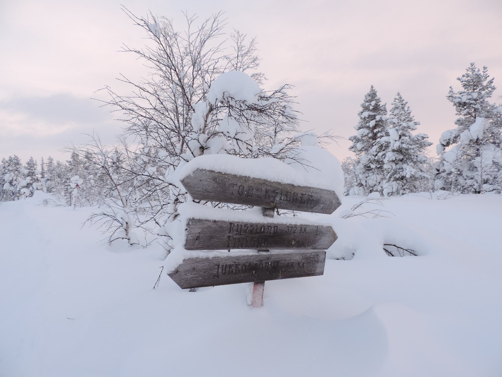 Houten wegwijzers onder de sneeuw.