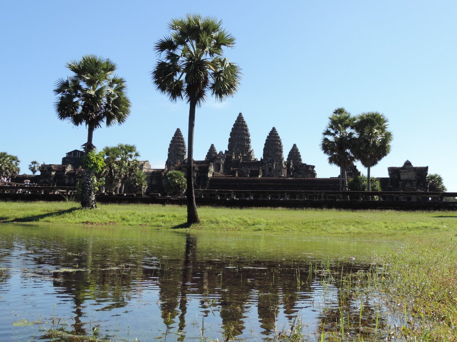 Water, gras, palmbomen en tempel op achtergrond.
