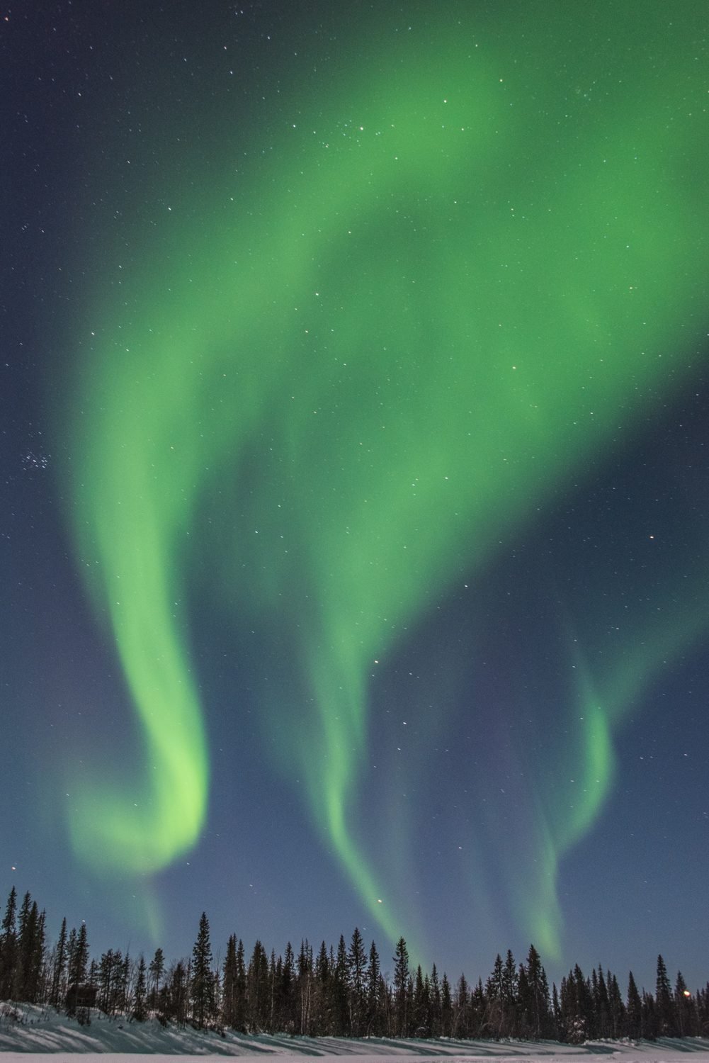 Aurora Borealis
