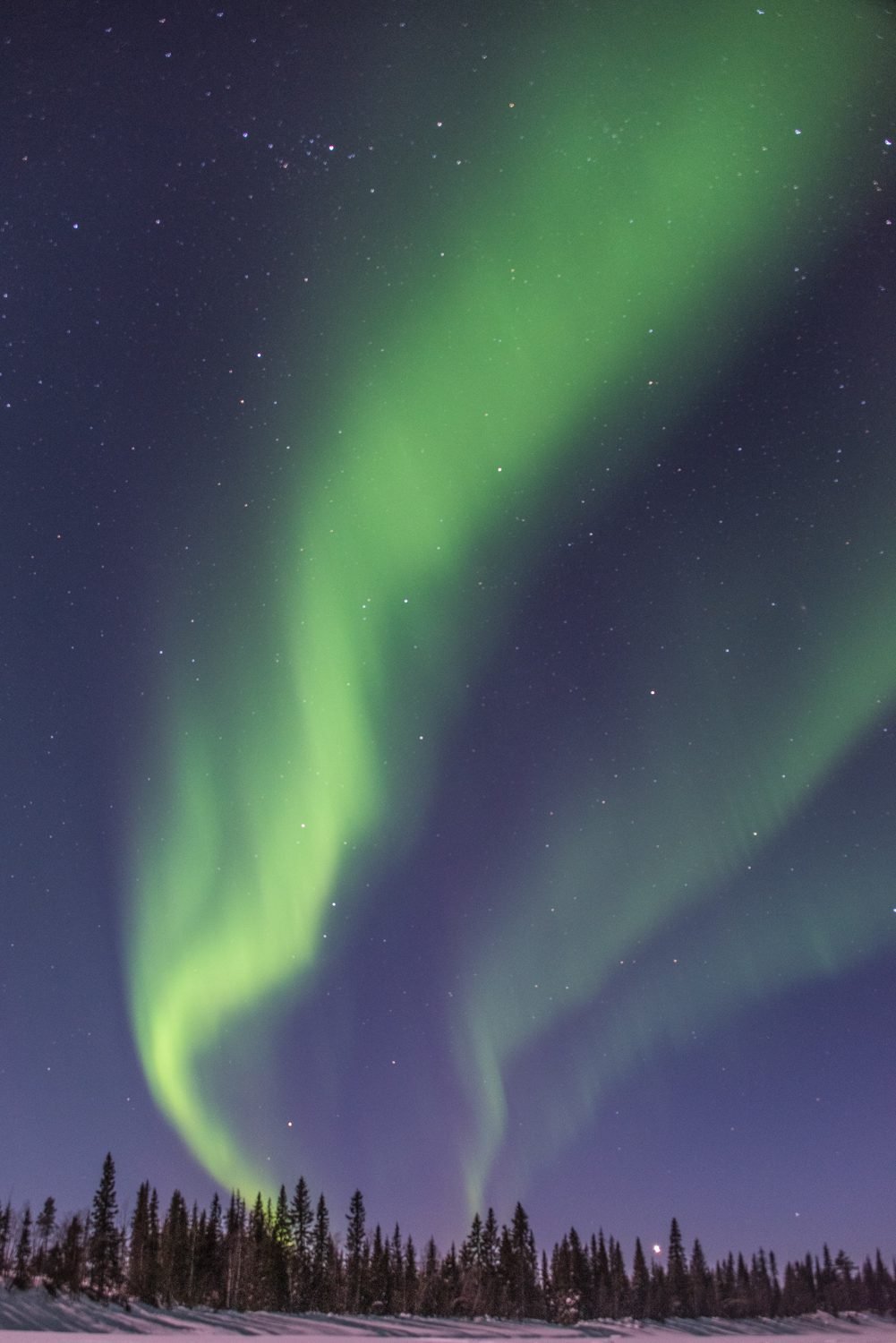 Aurora Borealis
